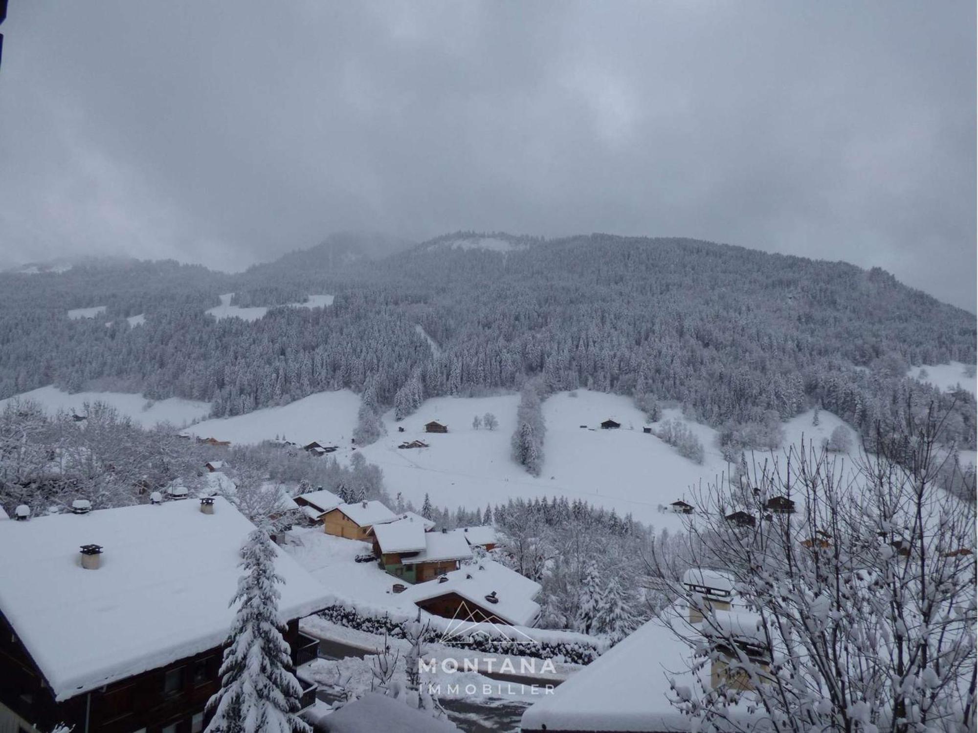Studio Renove Avec Cabine - 26M² - 5 Pers - Balcon Expose Sud - Pres Skibus Et Remontees Mecaniques - Fr-1-458-125 Le Grand-Bornand Zewnętrze zdjęcie